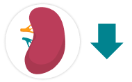 Illustration of a human spleen with a downward-pointing arrow next to it