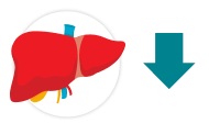 Illustration of a human liver with a downward-pointing arrow next to it 